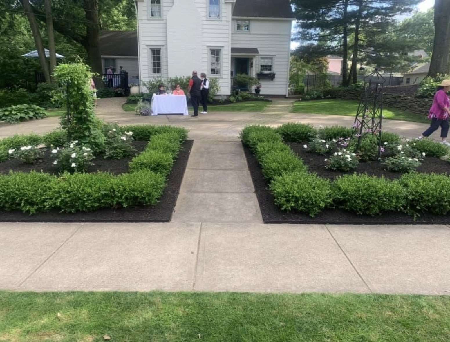 Fine Maintenance & Pruning